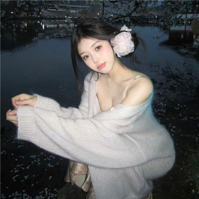 贵族大盗
