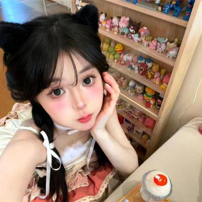 轻微盗窃案