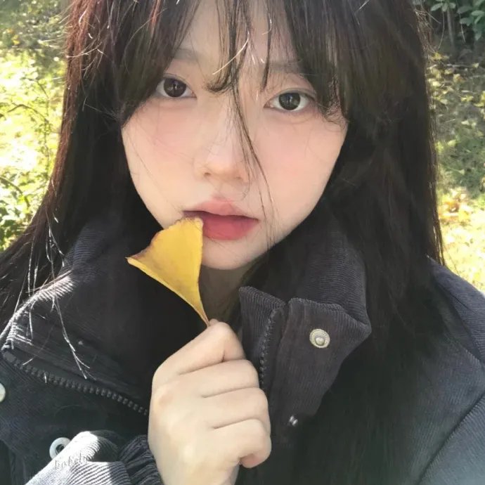 剧院的夏尔洛